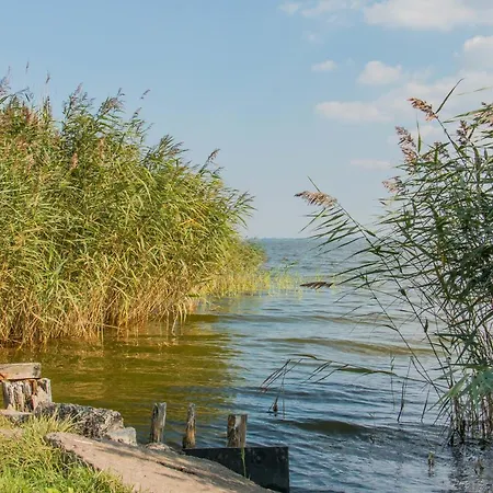 An Der Boddenweide - #118630